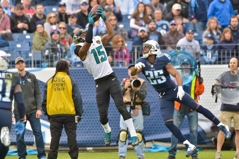 Fantasy Football: Where's the Best Fit for WR Allen Robinson?